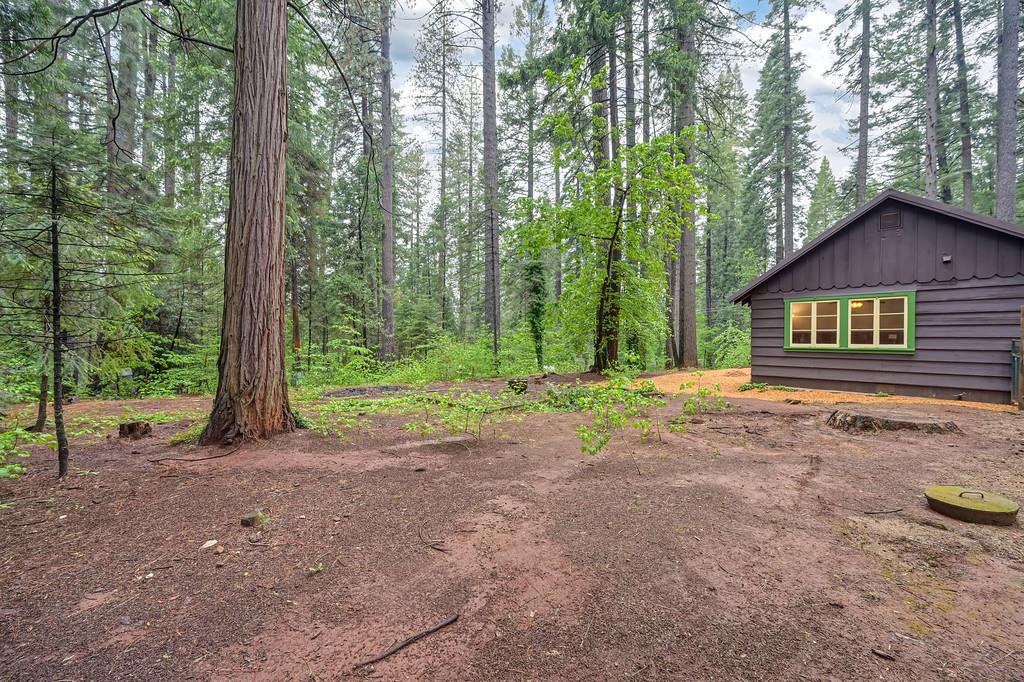 34180 Cable Road Alta, CA 95701 - Photo 49 of 58