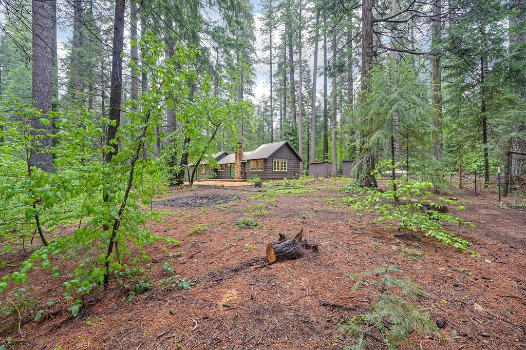 34180 Cable Road Alta, CA 95701 - Photo 52 of 58