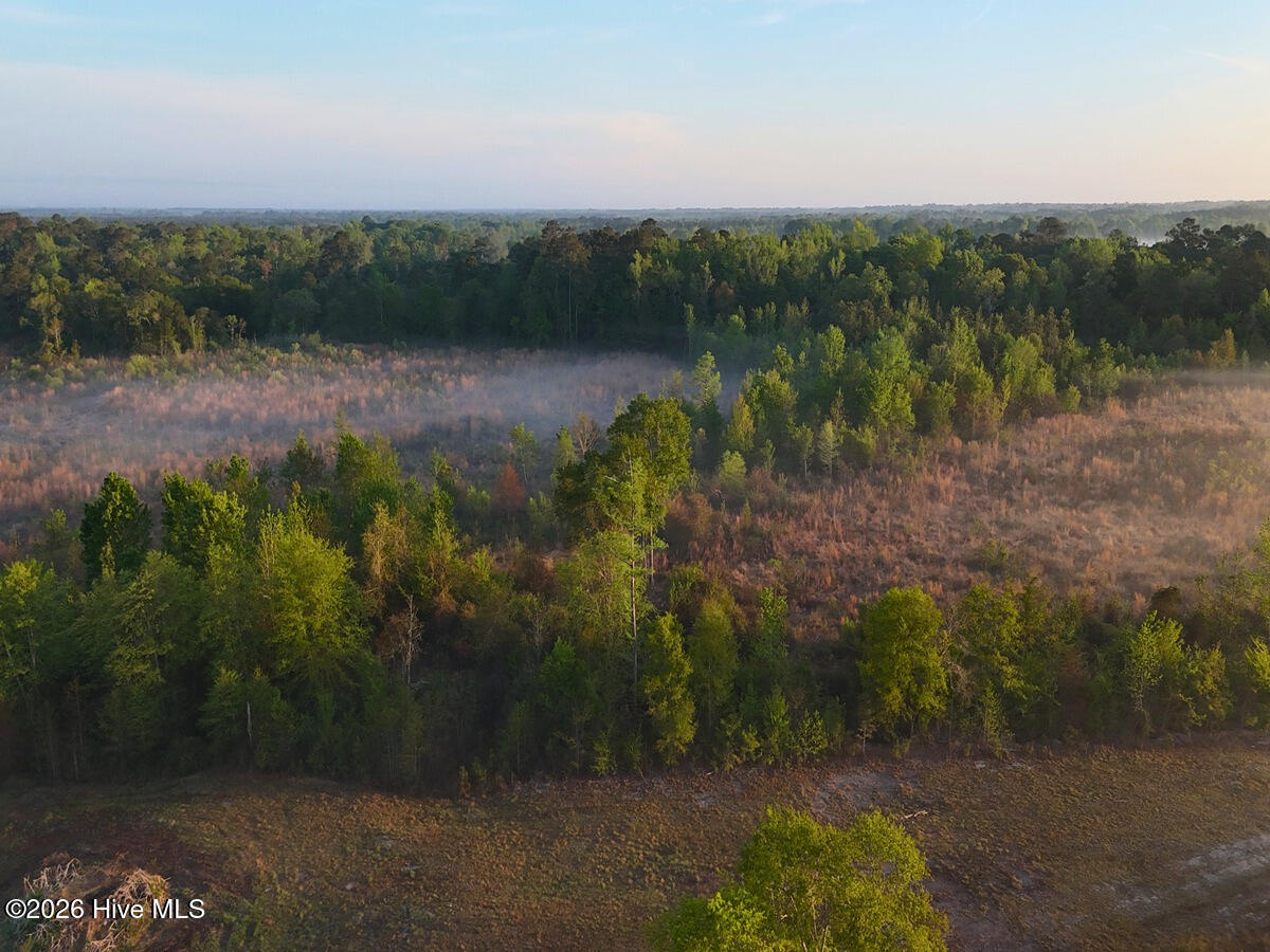 0 Durwood Evans Road Beulaville, NC 28518 - Photo 32 of 68 32.