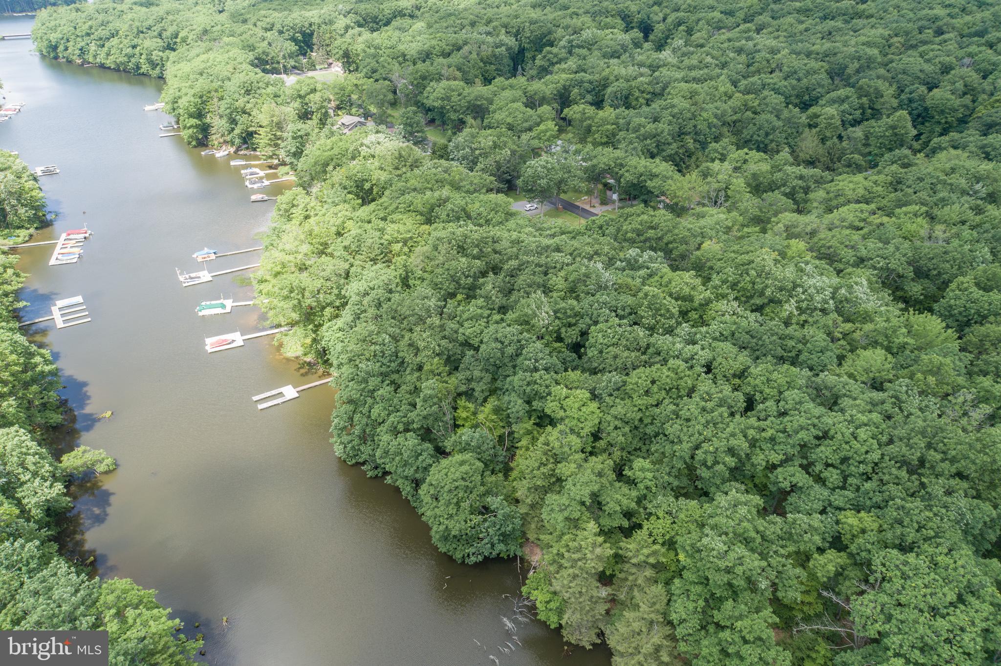 509 Brant Road Swanton, MD 21561 - Photo 21 of 21 an aerial view of a house with lots of trees
