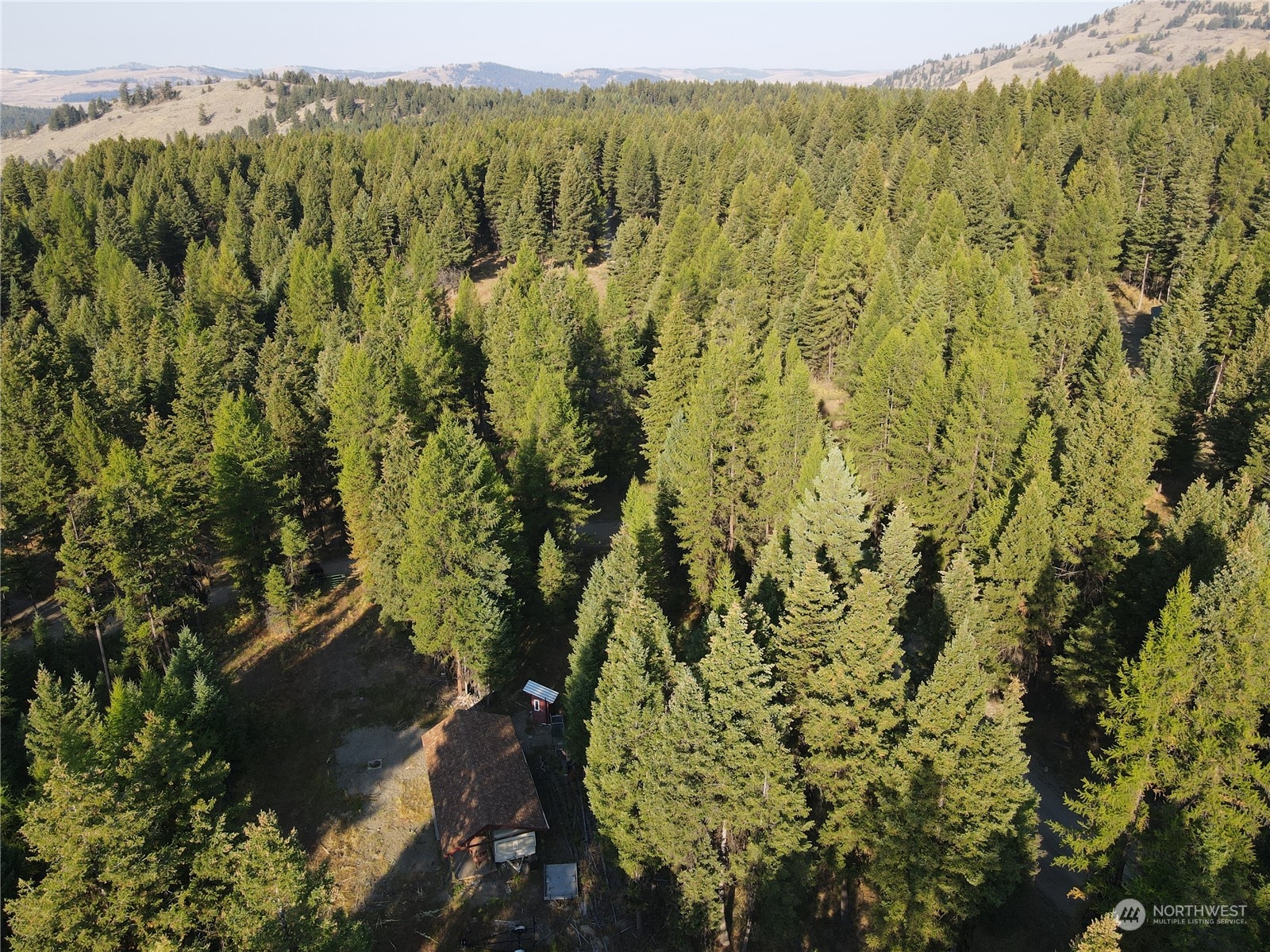 5 Prior Loop Road Oroville, WA 98844 - Photo 11 of 34 a view of a forest with a mountain