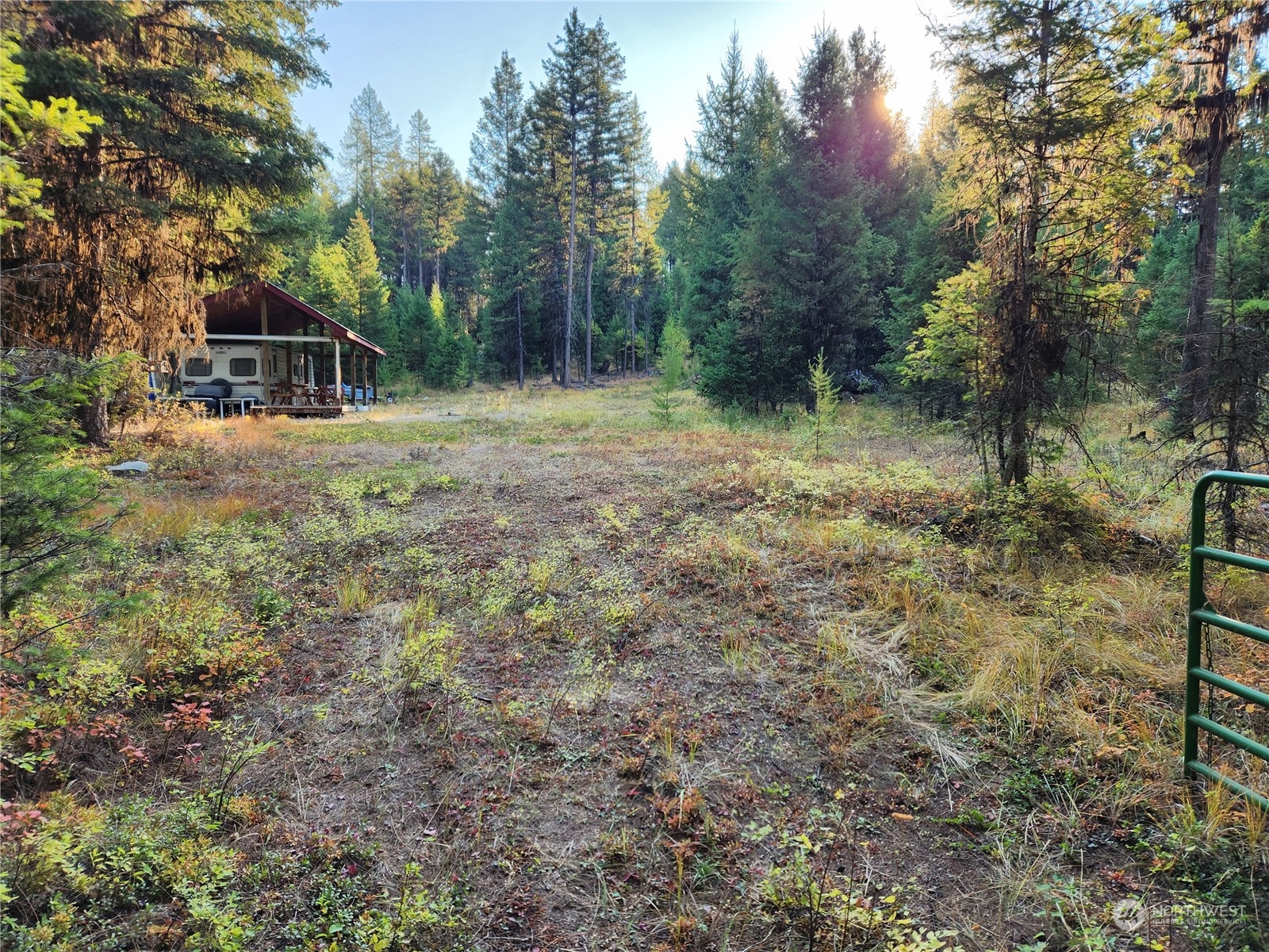5 Prior Loop Road Oroville, WA 98844 - Photo 2 of 34 a backyard of a house with lots of green space