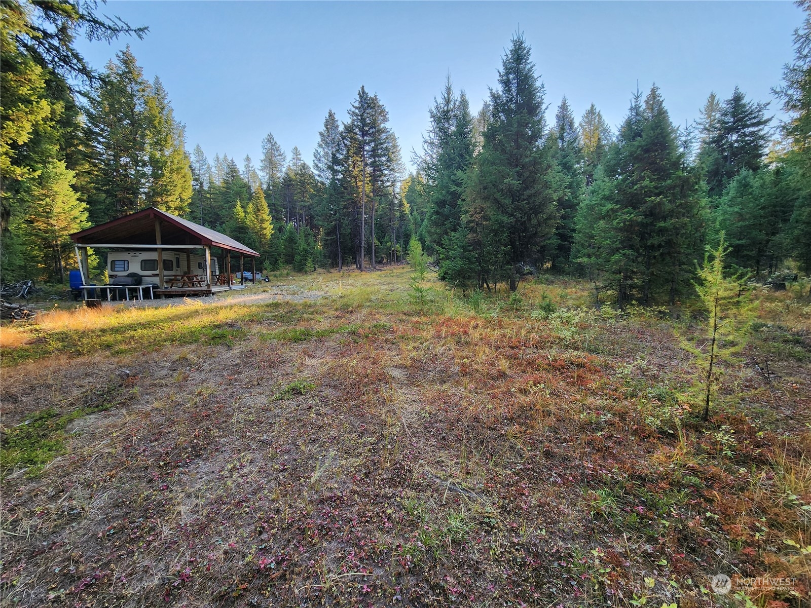 5 Prior Loop Road Oroville, WA 98844 - Photo 21 of 34 a view of a wooden house with a yard and trees
