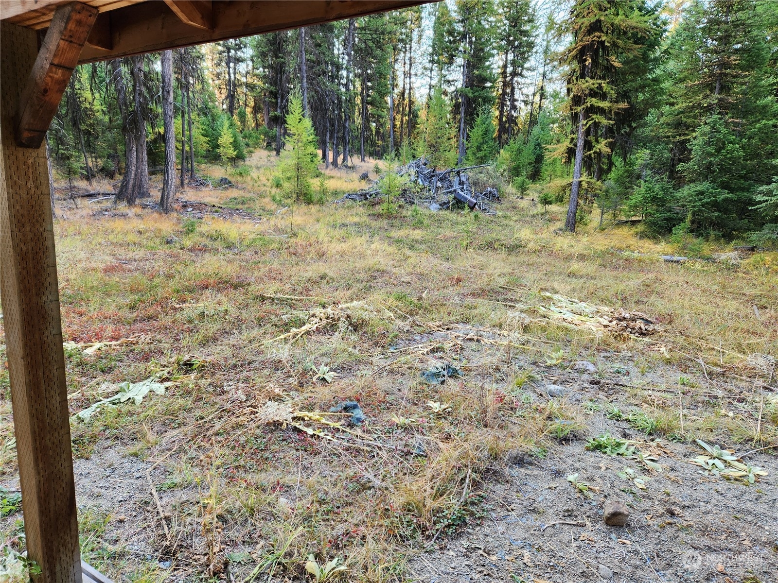 5 Prior Loop Road Oroville, WA 98844 - Photo 26 of 34 a view of a trees with a yard