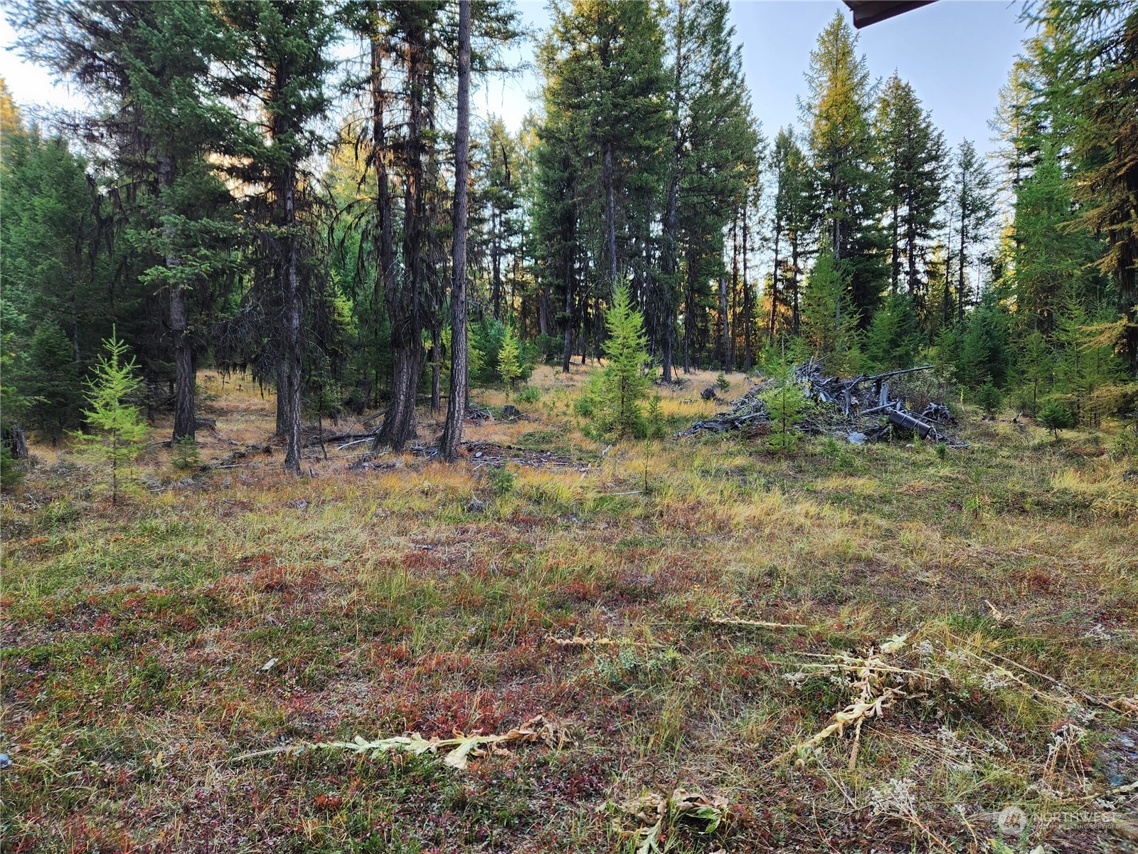 5 Prior Loop Road Oroville, WA 98844 - Photo 27 of 34 a view of backyard with green space
