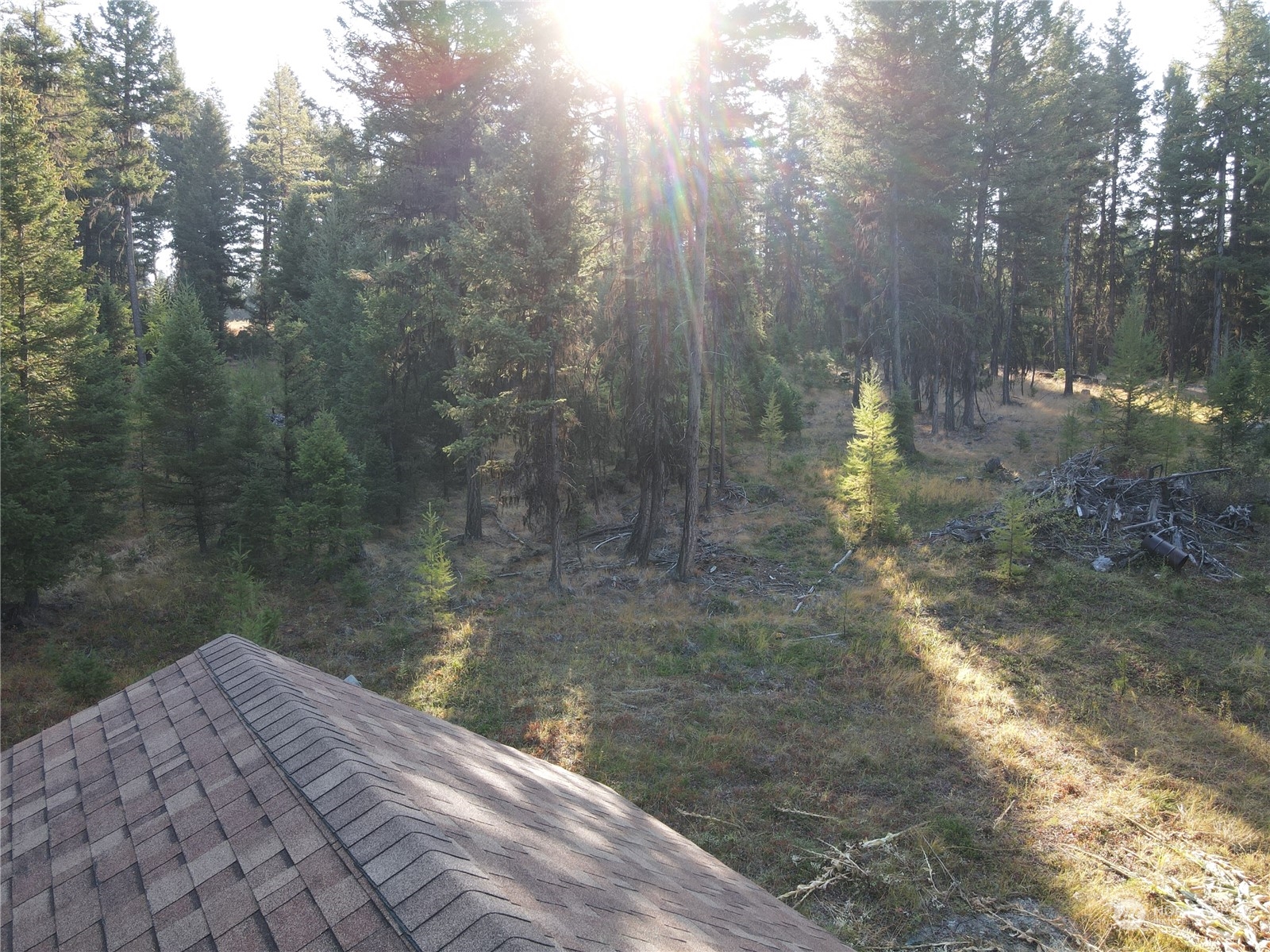 5 Prior Loop Road Oroville, WA 98844 - Photo 8 of 34 a backyard of a house