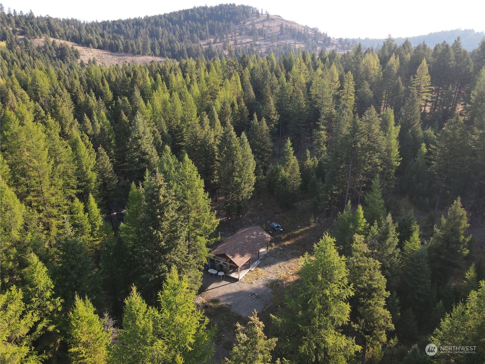 5 Prior Loop Road Oroville, WA 98844 - Photo 9 of 34 a view of a forest with a yard