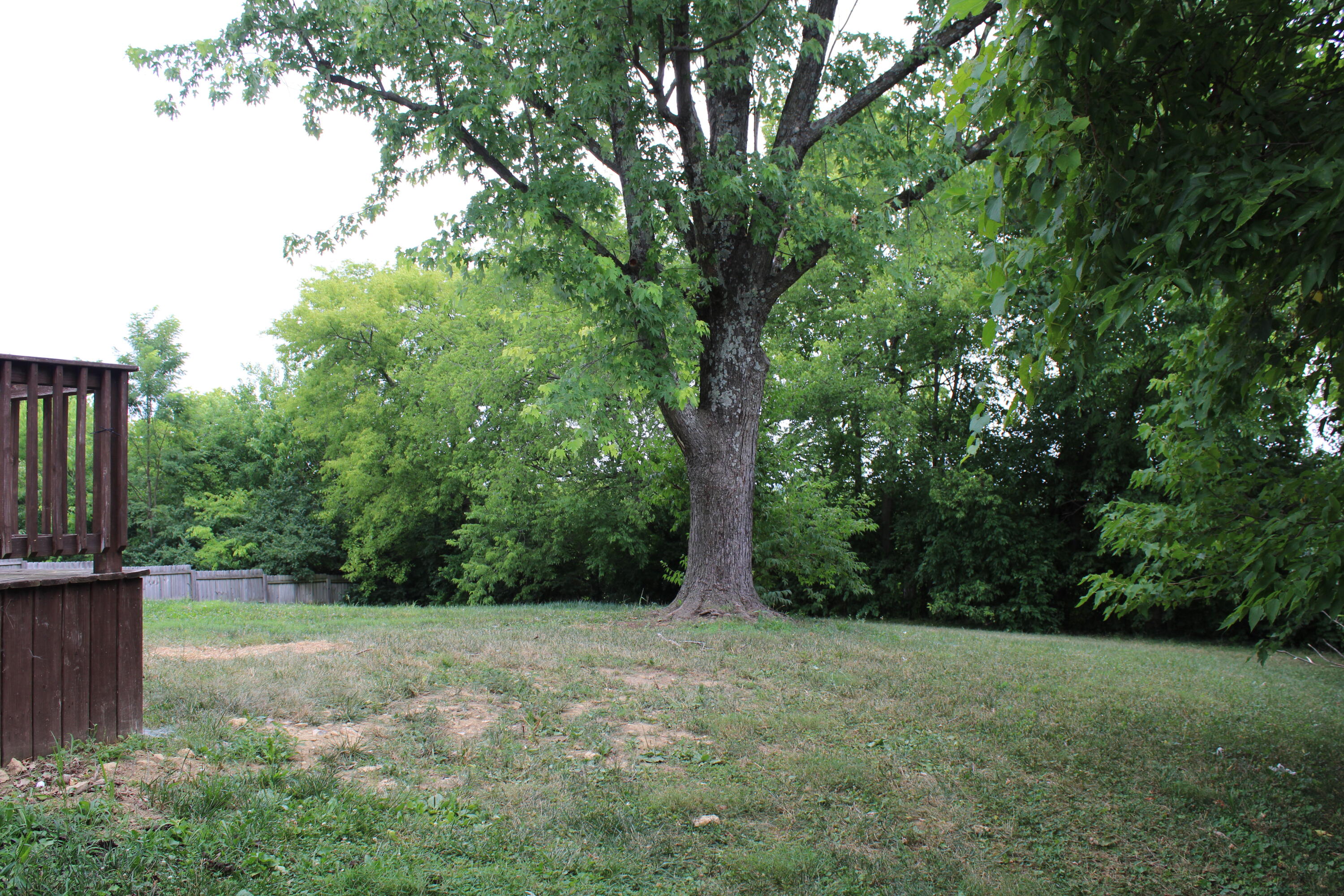 663 Bellows Mill Road Harrodsburg, KY 40330 - Photo 21 of 23 IMG_0006