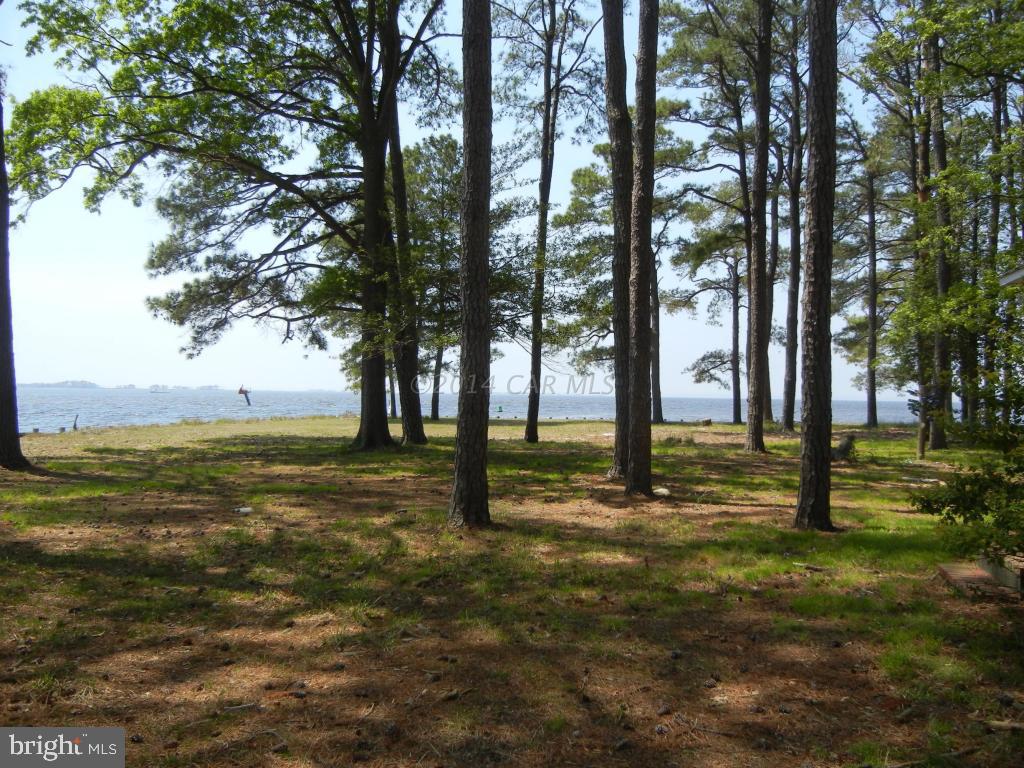 3119 Williams Point Road Marion Station, MD 21838 - Photo 2 of 44