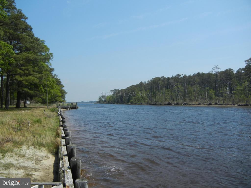 3119 Williams Point Road Marion Station, MD 21838 - Photo 14 of 44