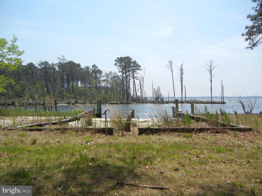 3119 Williams Point Road Marion Station, MD 21838 - Photo 16 of 44