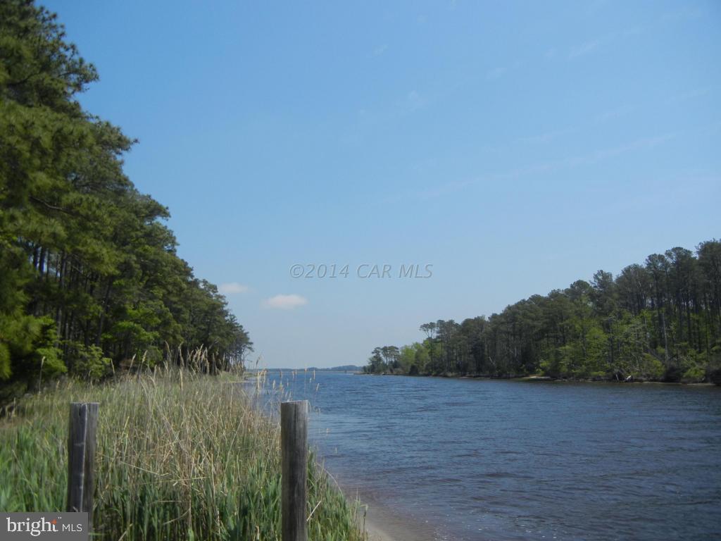 3119 Williams Point Road Marion Station, MD 21838 - Photo 41 of 44