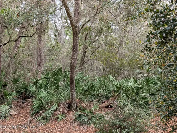 $8,500 | 111 Cypress Drive, Georgetown, FL 32139