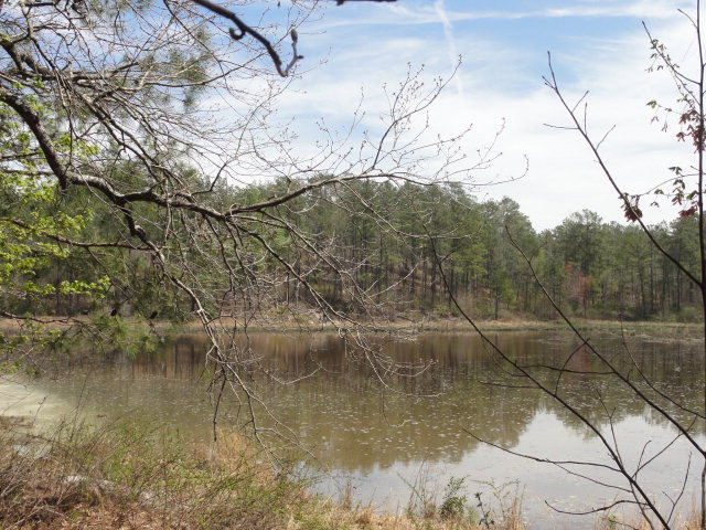 0 Mayfield Road Aiken, SC 29801 - Photo 1 of 2