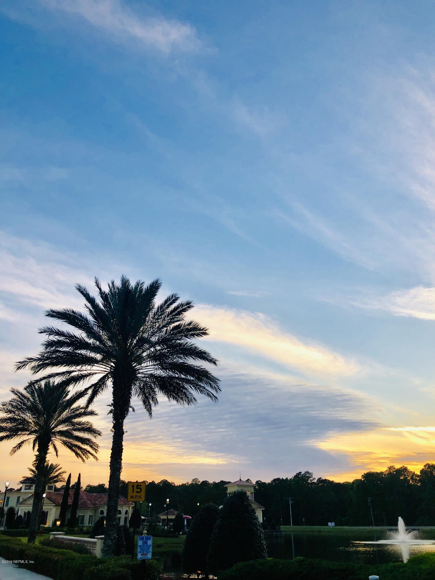 1409 Riva Del Garda Way St. Augustine, FL 32092 - Photo 41 of 41 a view of palm trees