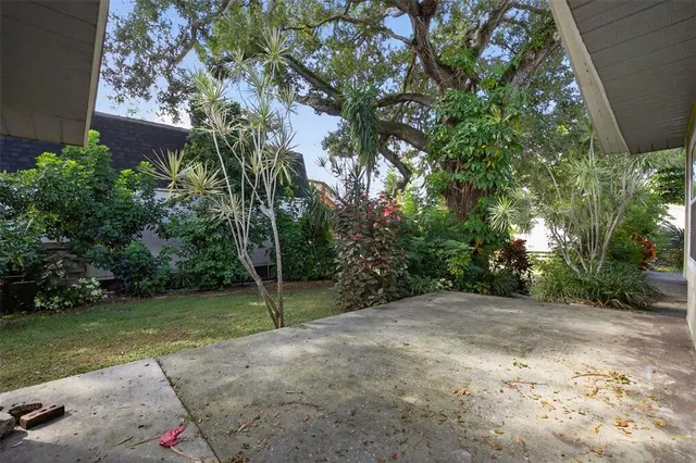 a view of a trees with a backyard