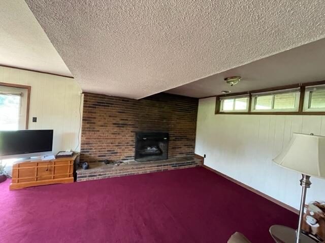 1110 Fall Creek Road Kingsport, TN 37664 - Photo 46 of 52 IMG_0517