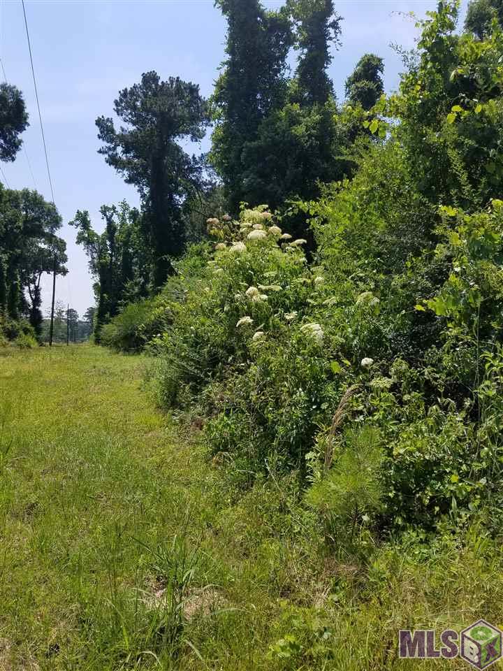 Lot 1 4h Club Road Denham Springs, LA 70726 - Photo 3 of 5 Gallery Image 3