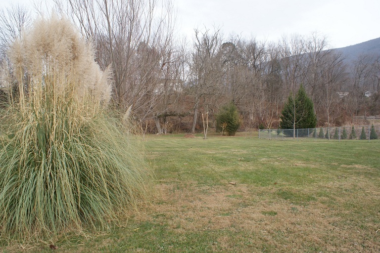 109 Hallies Road Covington, VA 24426 - Photo 22 of 23 Back Yard 2