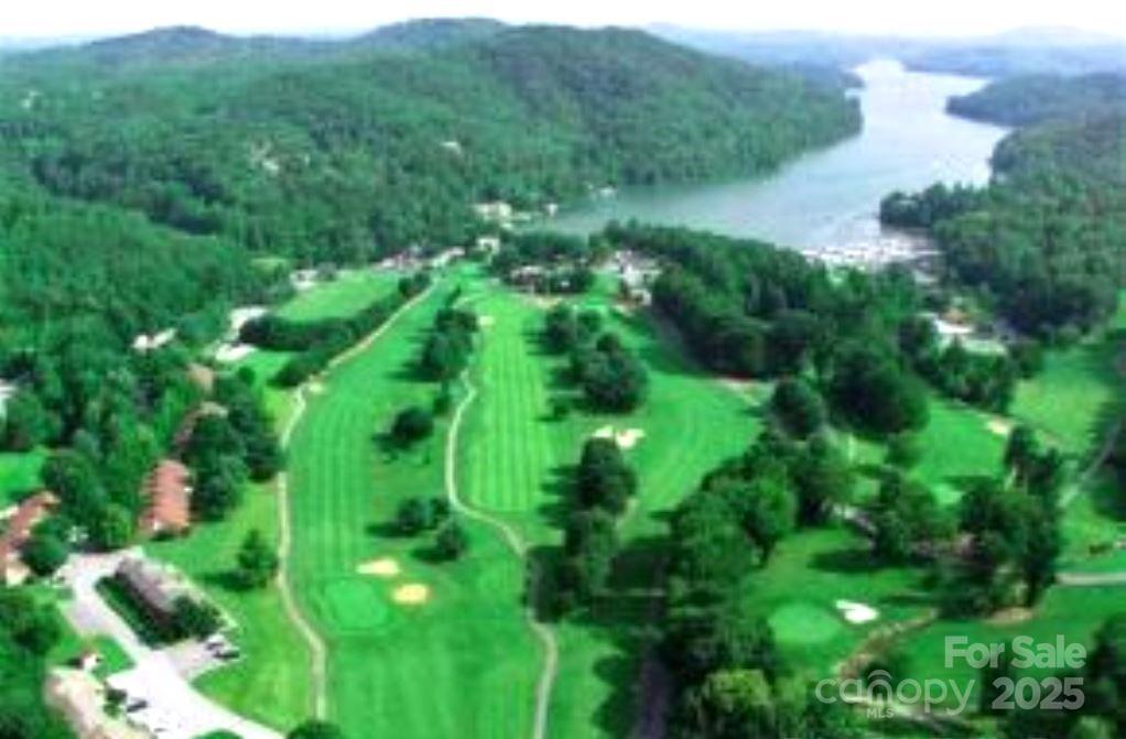 31 High Rock Ridge, Unit 31 Lake Lure, NC 28746 - Photo 15 of 41 a view of a lush green forest with lots of trees