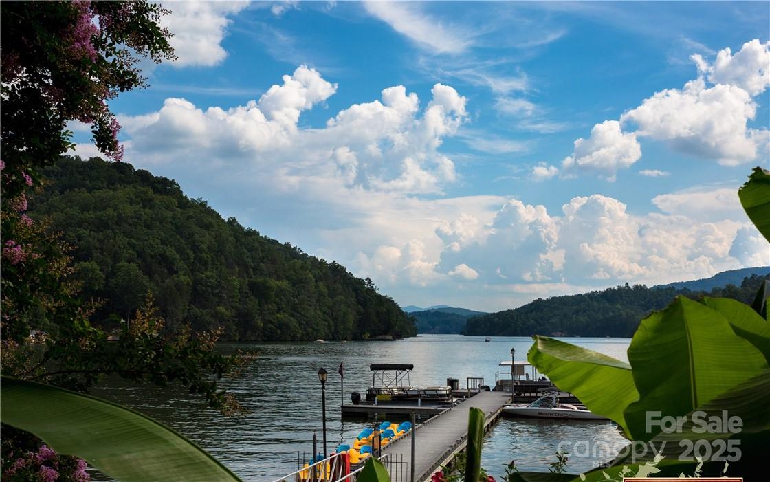 31 High Rock Ridge, Unit 31 Lake Lure, NC 28746 - Photo 36 of 41 a view of a lake