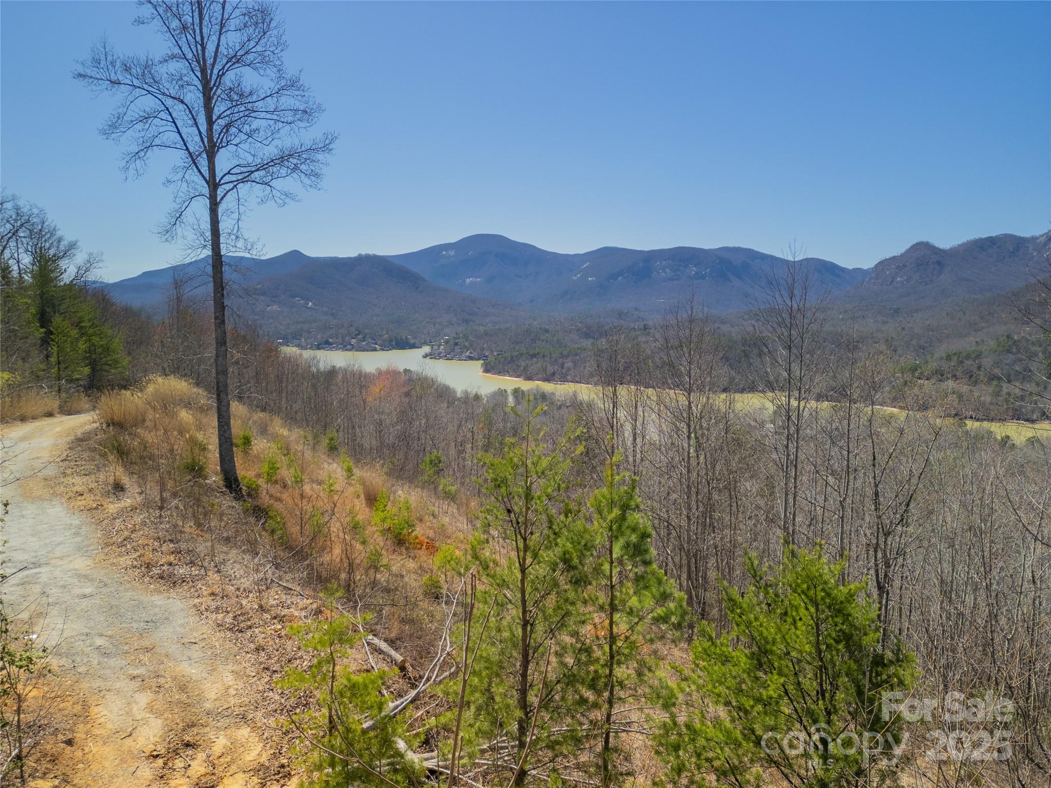 31 High Rock Ridge, Unit 31 Lake Lure, NC 28746 - Photo 4 of 41 a view of lake with mountain