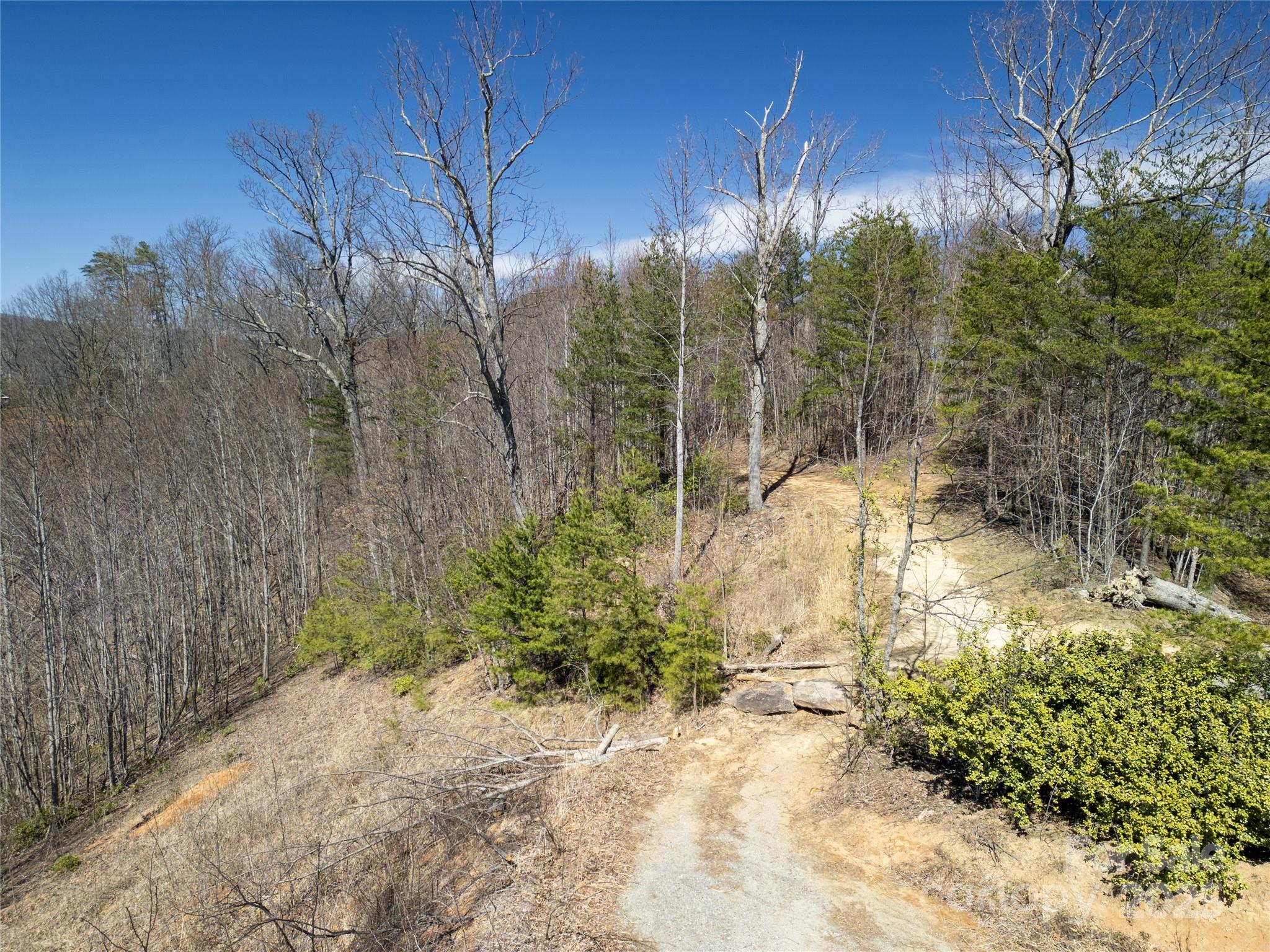 31 High Rock Ridge, Unit 31 Lake Lure, NC 28746 - Photo 6 of 41 a backyard of a house with lots of green space