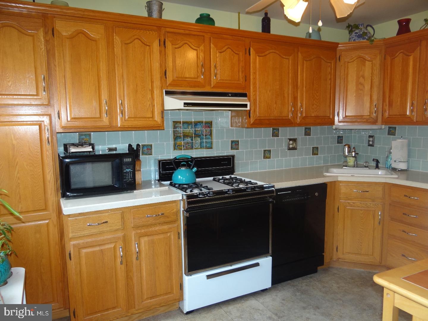 3449 Brighton Street Philadelphia, PA 19149 - Photo 7 of 15