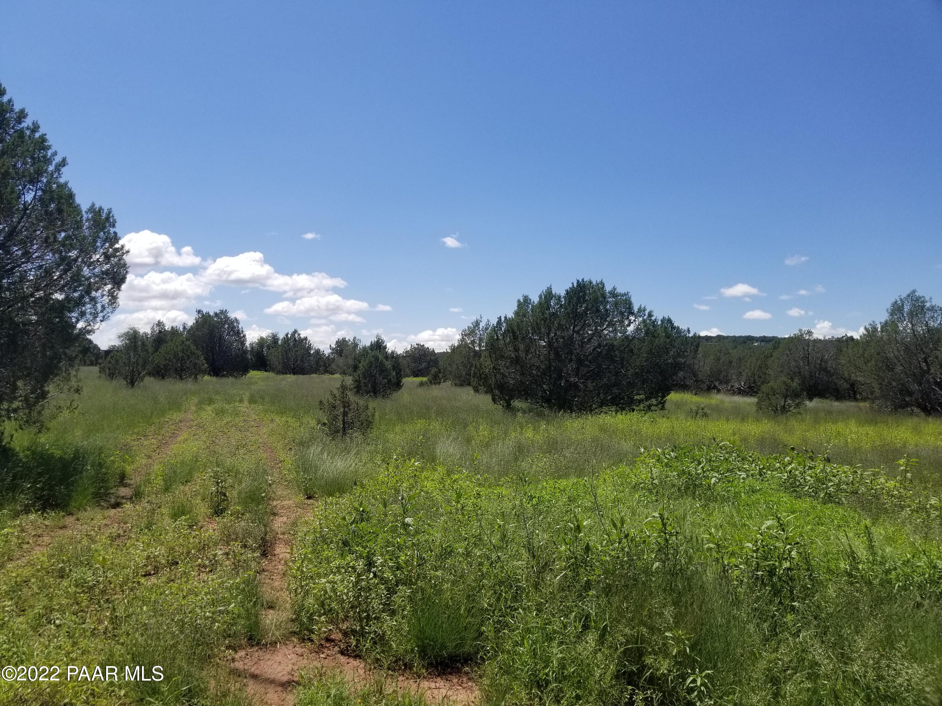 4050 Verde Road Williams, AZ 86046 - Photo 1 of 8 a view of a lush green space