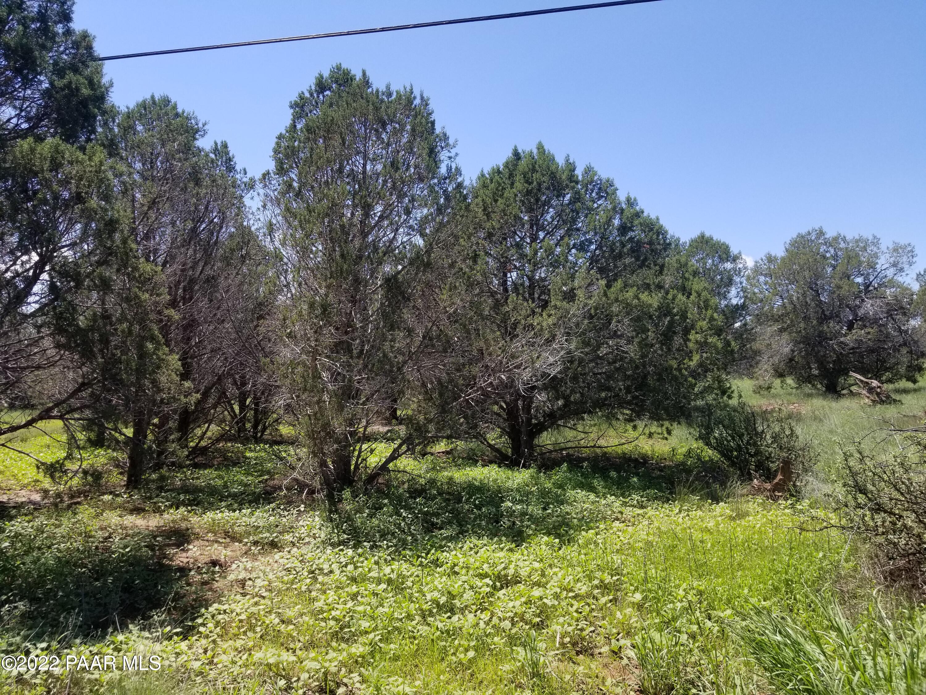 4050 Verde Road Williams, AZ 86046 - Photo 3 of 8 a big yard with lots of green space