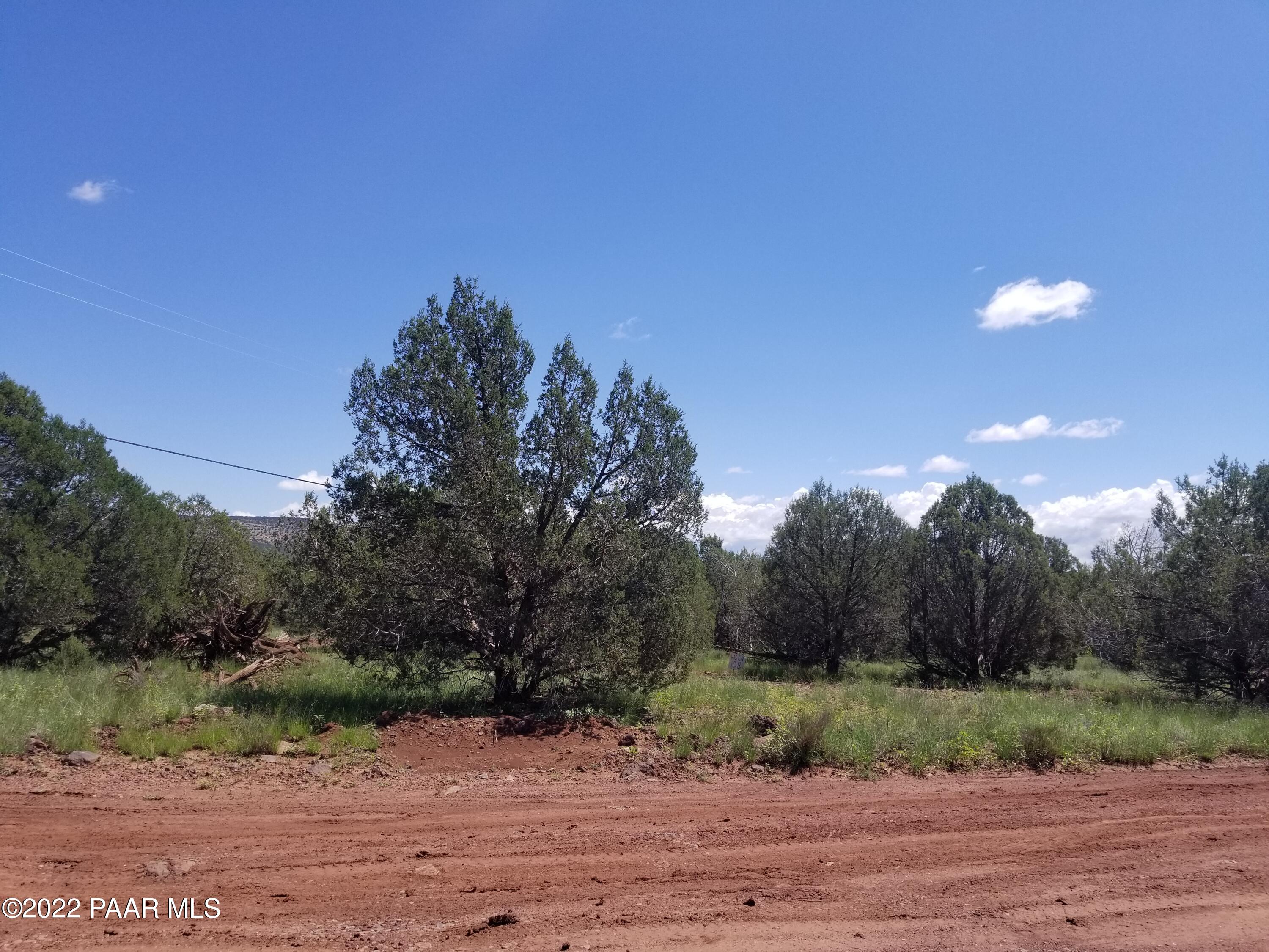 4050 Verde Road Williams, AZ 86046 - Photo 6 of 8 a view of a yard and mountain