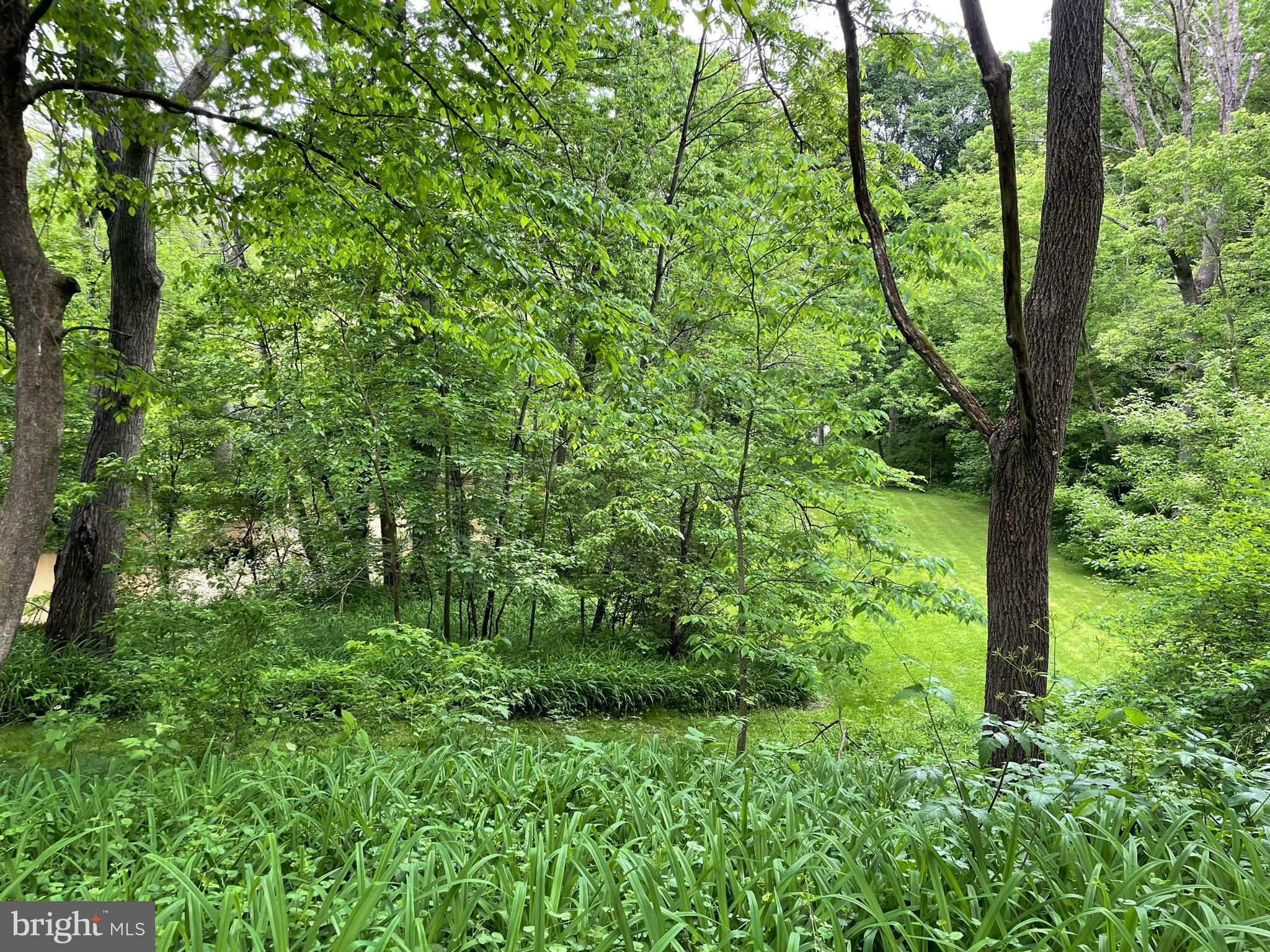 137 Longenecker Road Mount Joy, PA 17552 - Photo 84 of 108 Gallery Image 84