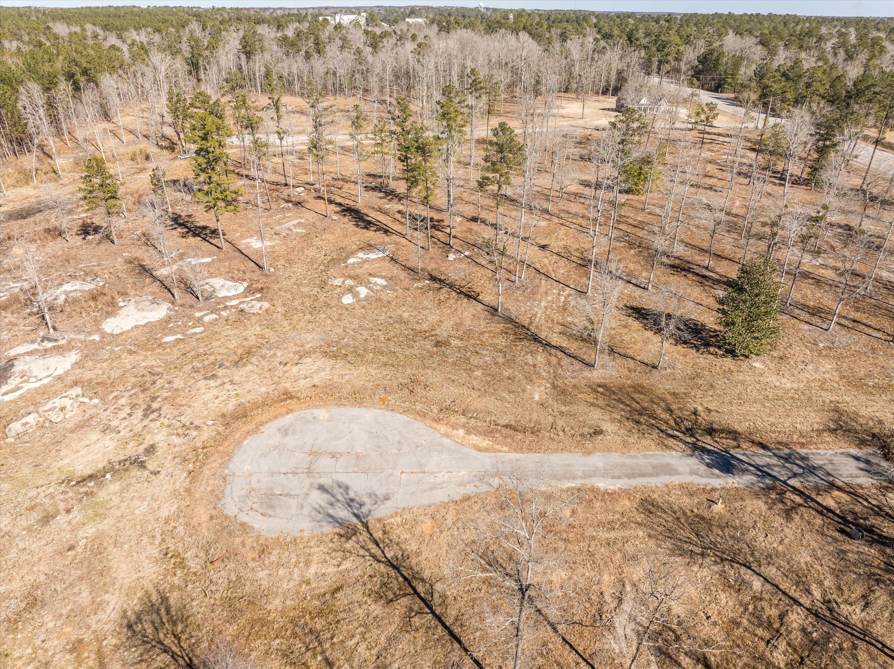 140 Big Rock Road Thomson, GA 30824 - Photo 3 of 4 40-DJI_0713-HDR