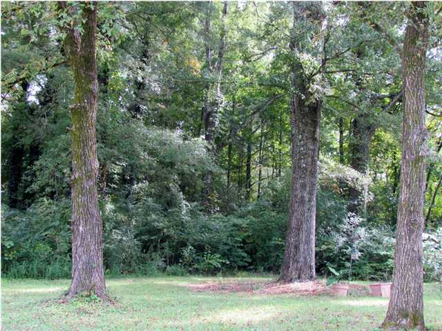 4832 Swan Road Chattanooga, TN 37416 - Photo 3 of 30 Additional Photo