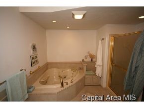 52 Camelot Drive Rochester, IL 62563 - Photo 18 of 21