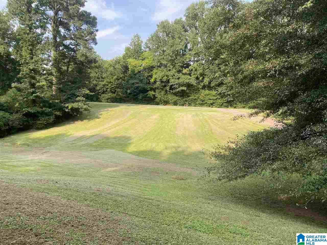 4540 Porter Road Quinton, AL 35130 - Photo 2 of 21