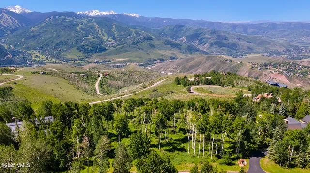 a view of a yard with an trees