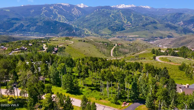 a view of backyard with green space