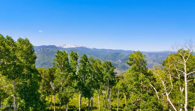 a view of a garden with plants