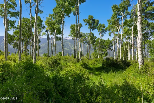 a view of a water with a mountain
