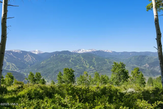 a view of a big yard with plants and wooden walls