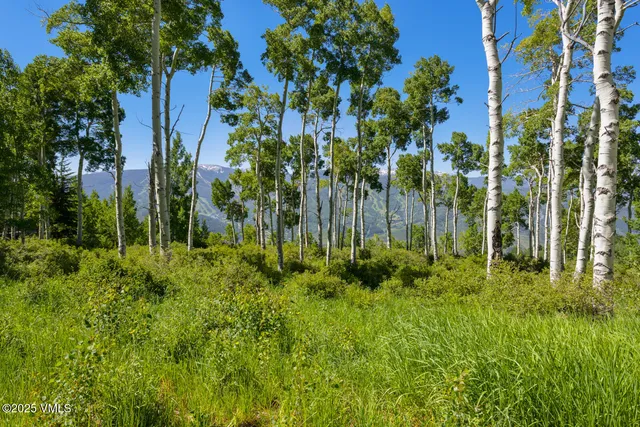 a view of a backyard with plants