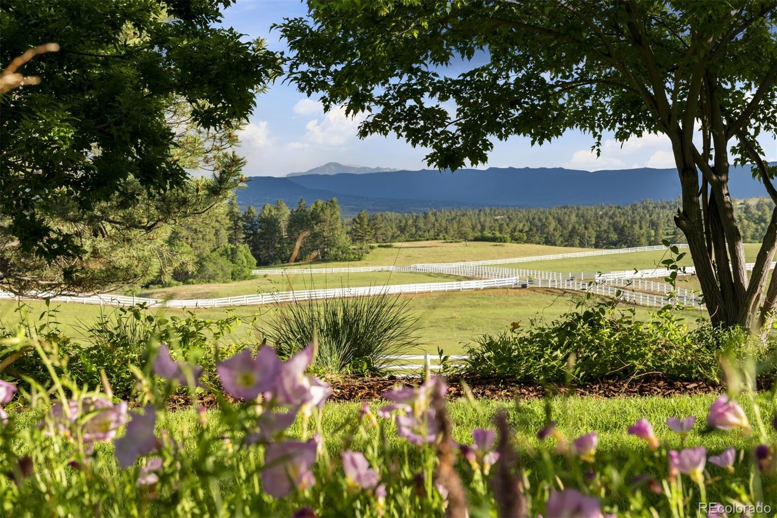 7007 North Daniels Park Road Sedalia, CO 80135 - Photo 3 of 39