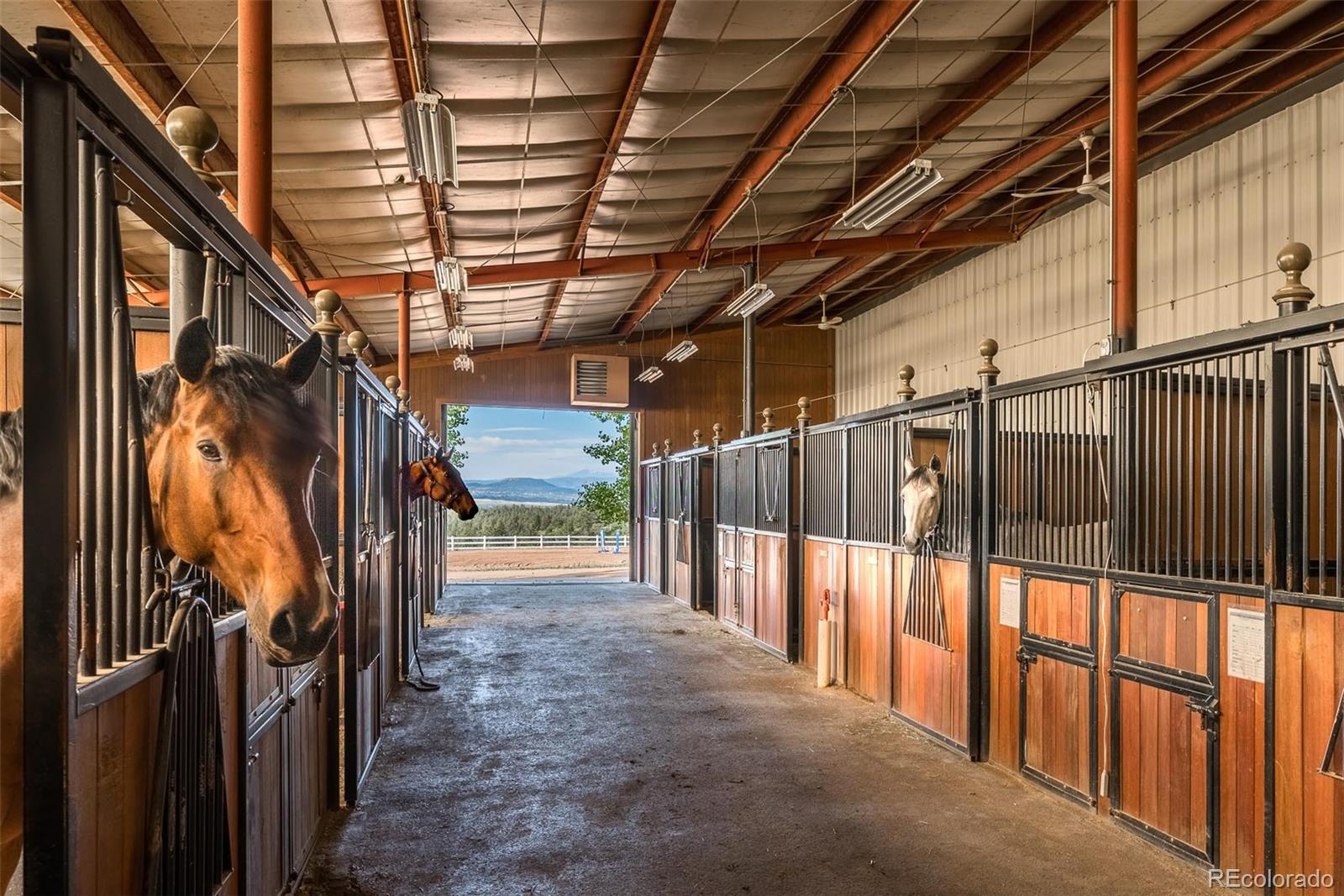 7007 North Daniels Park Road Sedalia, CO 80135 - Photo 33 of 39