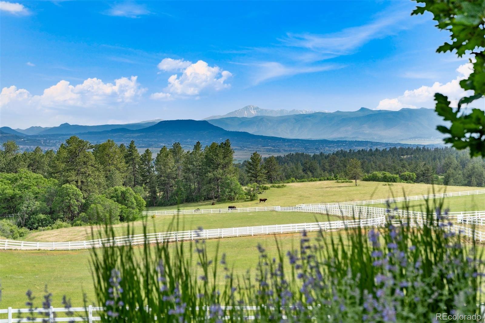 7007 North Daniels Park Road Sedalia, CO 80135 - Photo 37 of 39