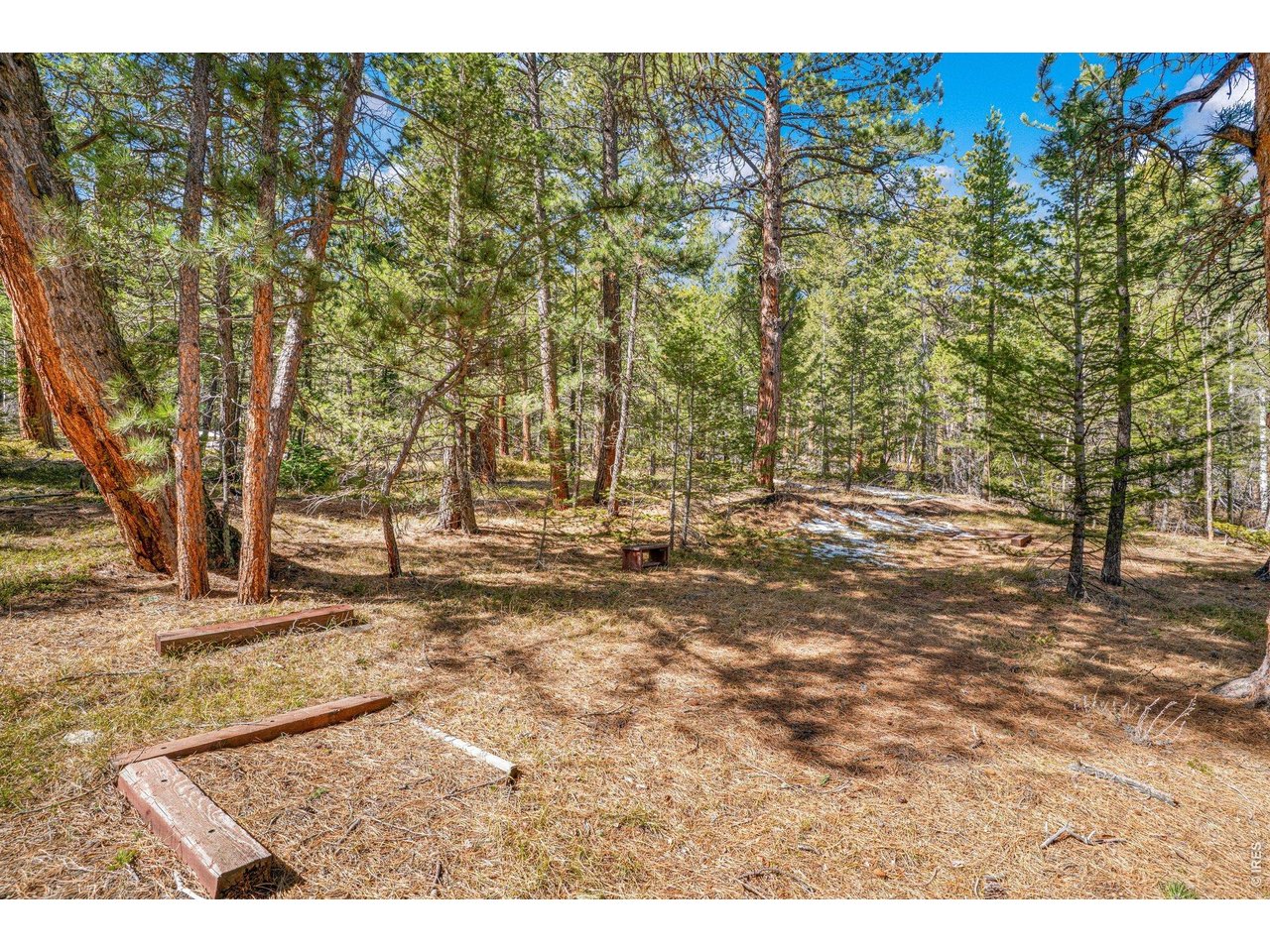 251 Haugen Slide Road Allenspark, CO 80510 - Photo 41 of 42 a view of outdoor space with trees
