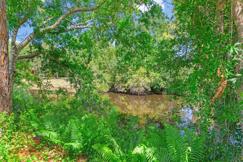 7605 Richardson Road Sarasota, FL 34240 - Photo 57 of 67