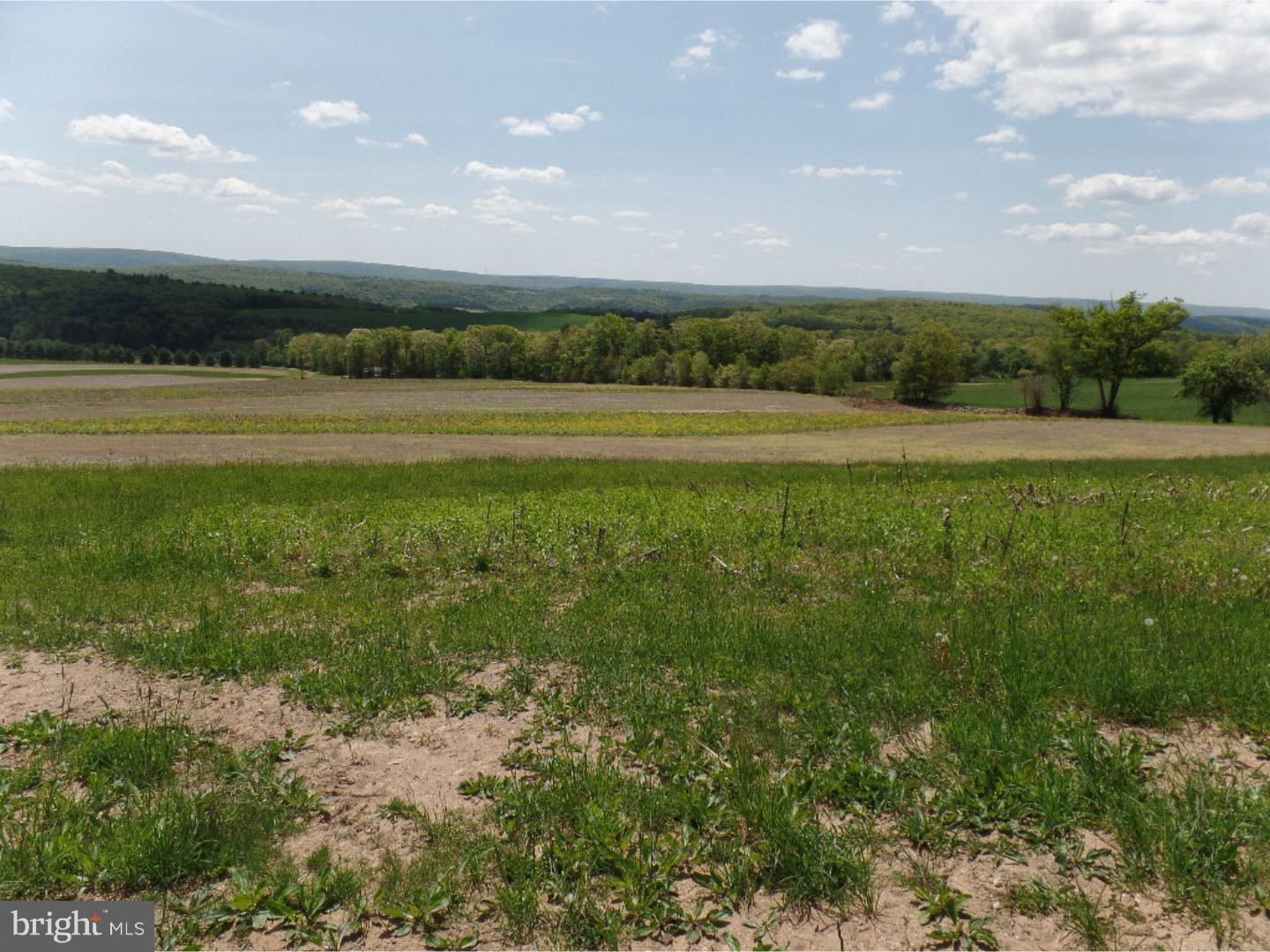0 West Mountain Top Road Tamaqua, PA 18252 - Photo 2 of 9 Gallery Image 2