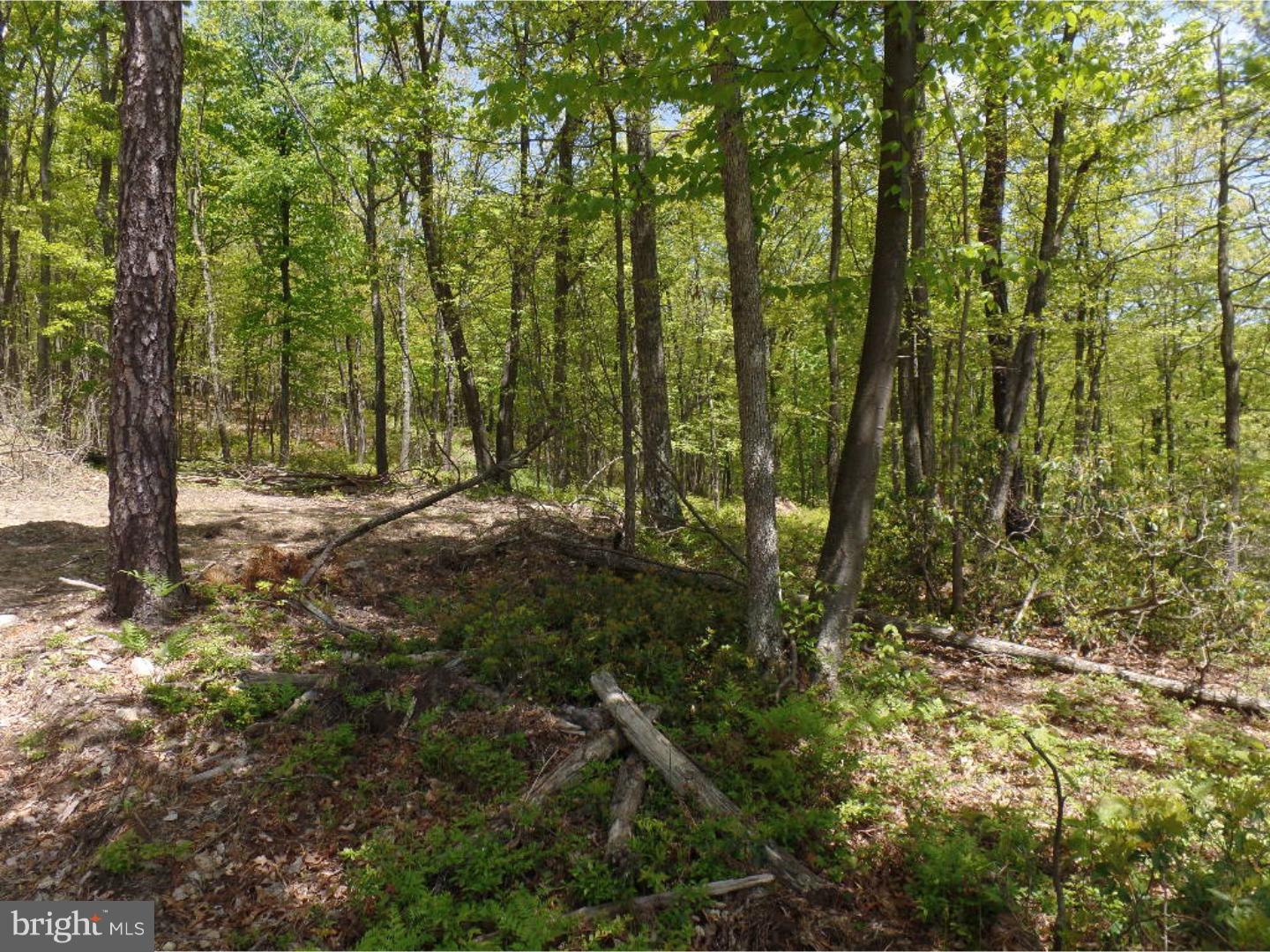 0 West Mountain Top Road Tamaqua, PA 18252 - Photo 4 of 9 Gallery Image 4