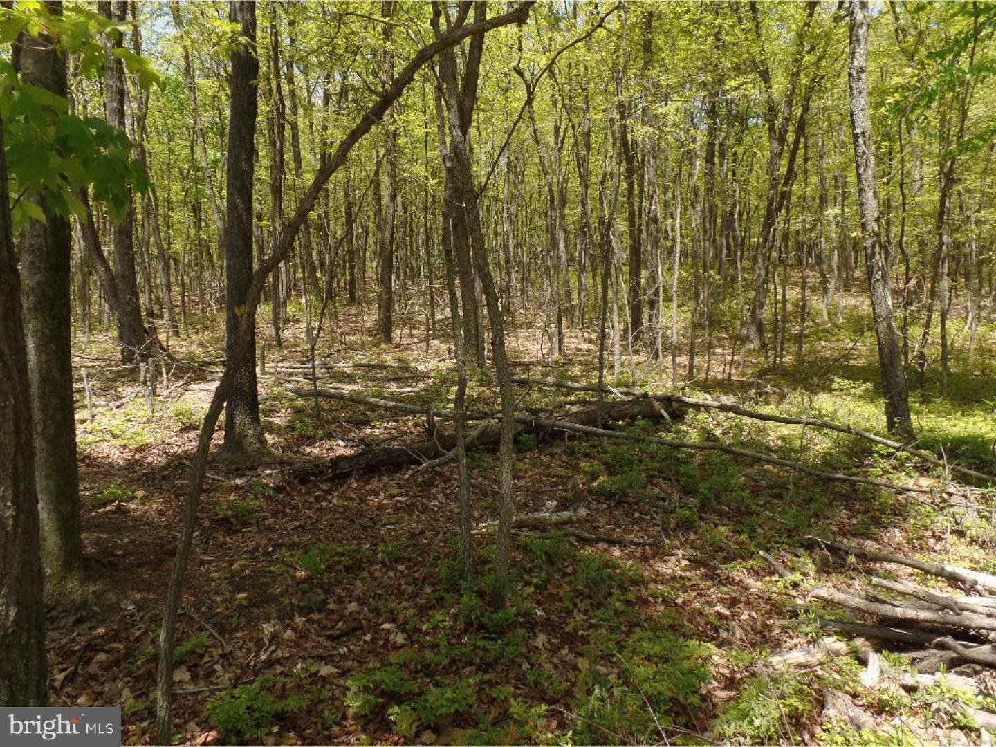 0 West Mountain Top Road Tamaqua, PA 18252 - Photo 6 of 9 Gallery Image 6